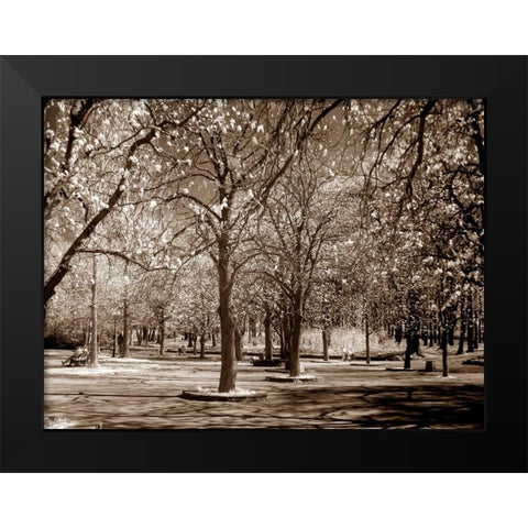 Cherry Tree Park Black Modern Wood Framed Art Print by PhotoINC Studio