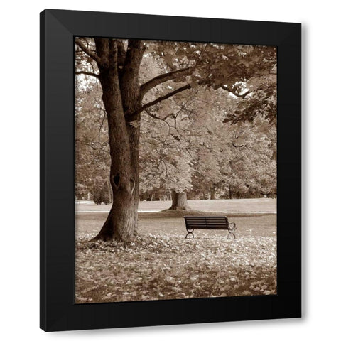 Park View Black Modern Wood Framed Art Print with Double Matting by PhotoINC Studio