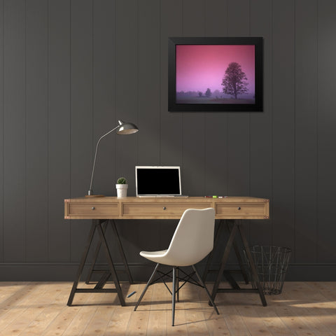 Evening Fields Black Modern Wood Framed Art Print by PhotoINC Studio