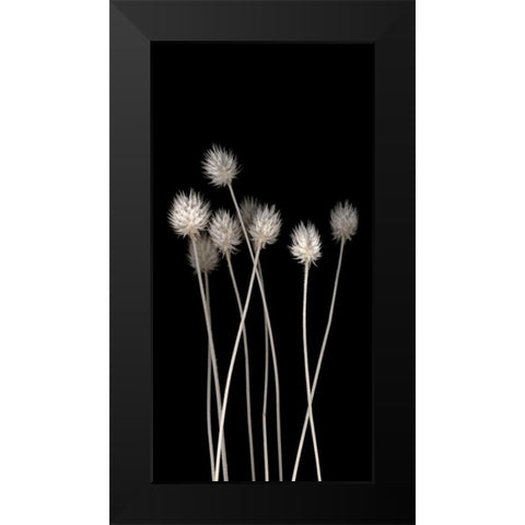 Dried Up Black Modern Wood Framed Art Print by PhotoINC Studio