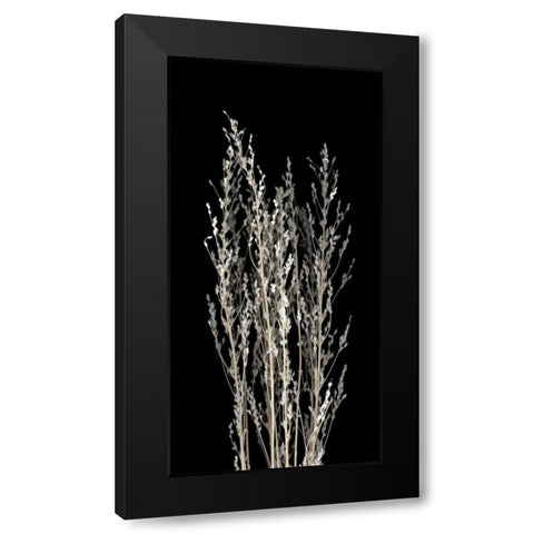Dried Up Black Modern Wood Framed Art Print with Double Matting by PhotoINC Studio