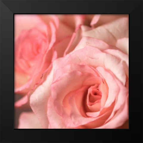 Pink Rose Black Modern Wood Framed Art Print by PhotoINC Studio