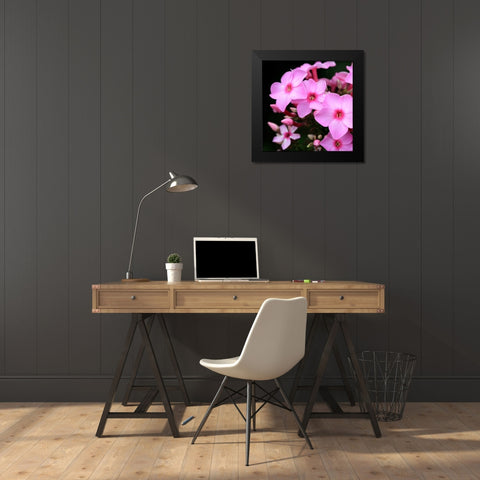 Pink Flowers Black Modern Wood Framed Art Print by PhotoINC Studio