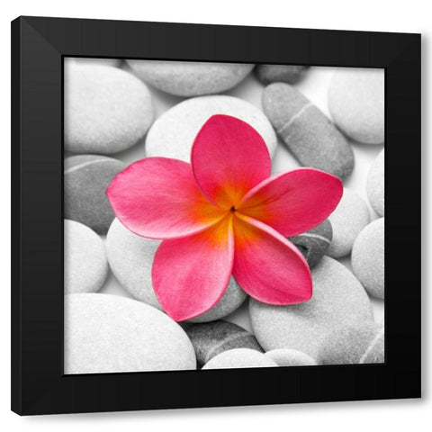 Zen Flower Black Modern Wood Framed Art Print by PhotoINC Studio