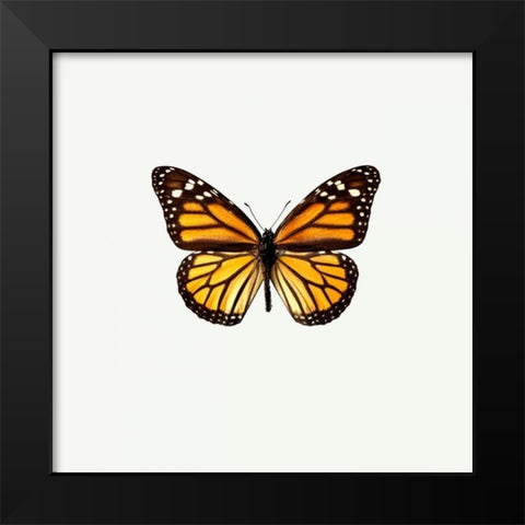 Yellow Butterfly Black Modern Wood Framed Art Print by PhotoINC Studio