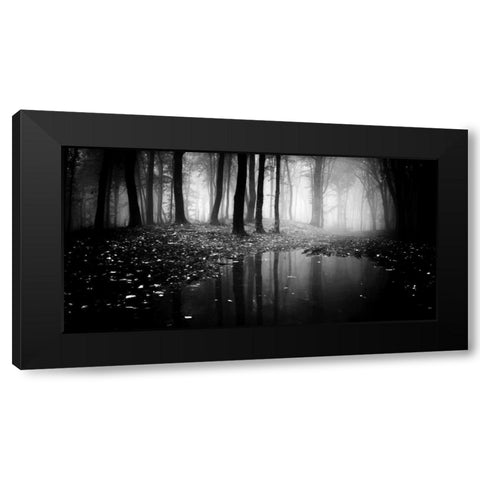 Woods Black Modern Wood Framed Art Print by PhotoINC Studio