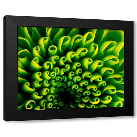 Green Design Black Modern Wood Framed Art Print by PhotoINC Studio