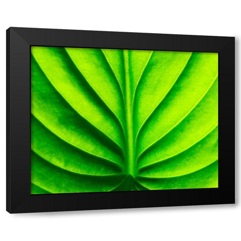 Green Design Black Modern Wood Framed Art Print by PhotoINC Studio