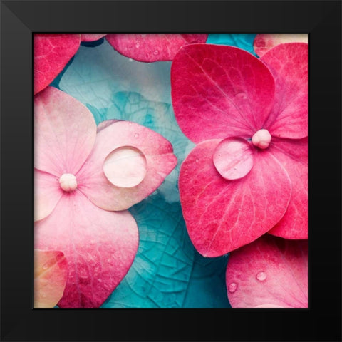 Pink Flowers Black Modern Wood Framed Art Print by PhotoINC Studio