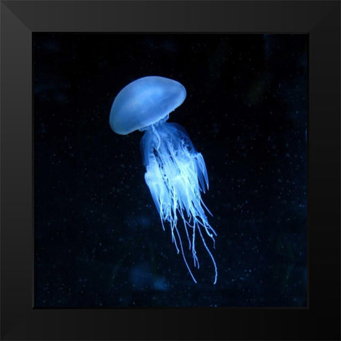 Luminescent Jellyfish Black Modern Wood Framed Art Print by PhotoINC Studio