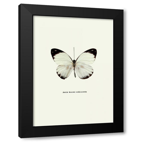 White Butterfly Black Modern Wood Framed Art Print by GraphINC