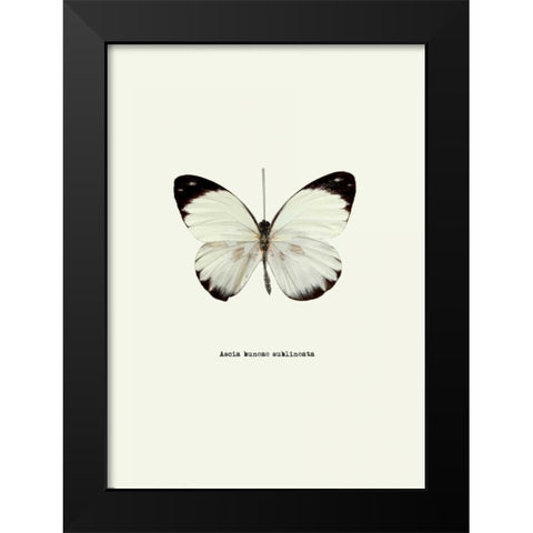 White Butterfly Black Modern Wood Framed Art Print by GraphINC