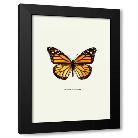 Yellow Butterfly Black Modern Wood Framed Art Print with Double Matting by GraphINC