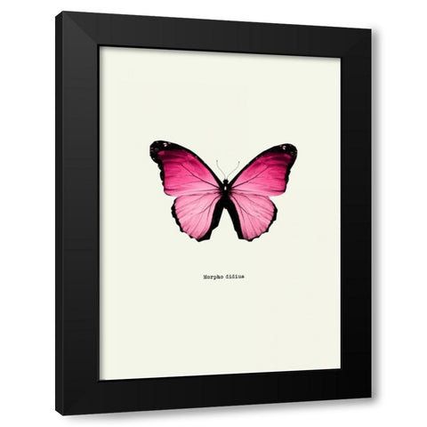 Pink Butterfly Black Modern Wood Framed Art Print by GraphINC