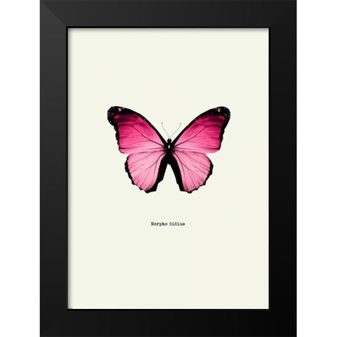 Pink Butterfly Black Modern Wood Framed Art Print by GraphINC