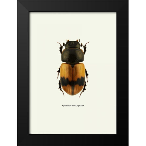 Beetle Orange Black Modern Wood Framed Art Print by GraphINC