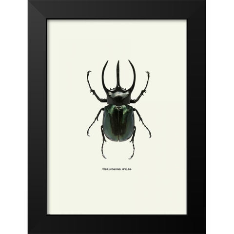 Beetle Black Black Modern Wood Framed Art Print by GraphINC