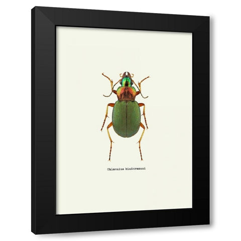 Beetle Green Black Modern Wood Framed Art Print by GraphINC