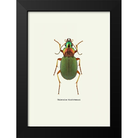 Beetle Green Black Modern Wood Framed Art Print by GraphINC