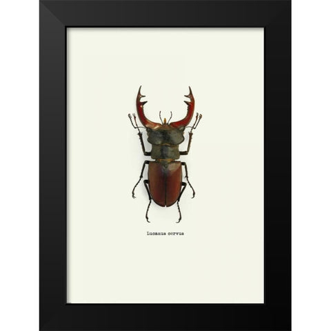 Beetle Red Black Modern Wood Framed Art Print by GraphINC