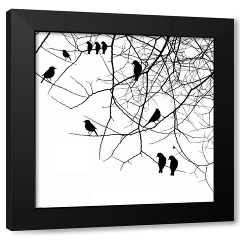 Bird II Black Modern Wood Framed Art Print by GraphINC