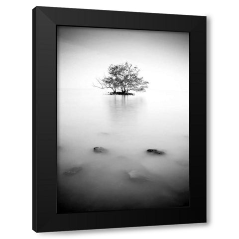 In the mist Black Modern Wood Framed Art Print with Double Matting by PhotoINC Studio