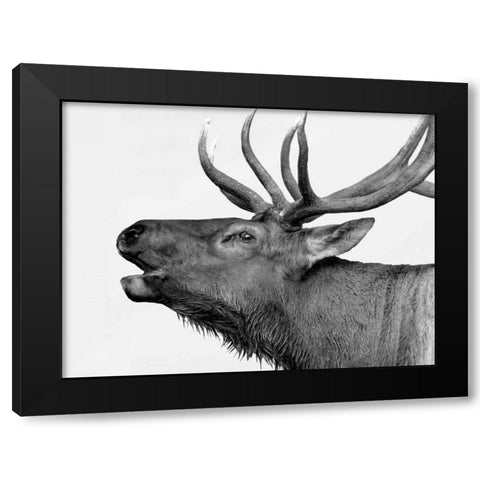 Deer Black Modern Wood Framed Art Print by PhotoINC Studio