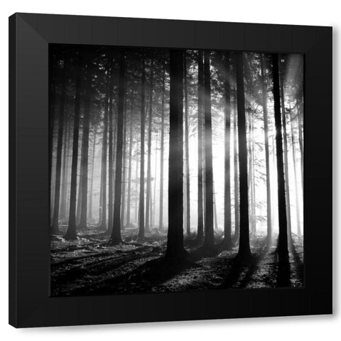 Wood Light Black Modern Wood Framed Art Print by PhotoINC Studio