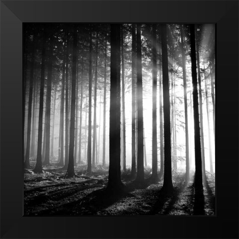 Wood Light Black Modern Wood Framed Art Print by PhotoINC Studio