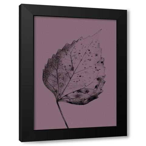 Heaven on 3rd IV Black Modern Wood Framed Art Print with Double Matting by Incado