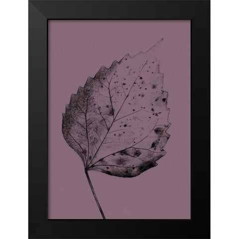 Heaven on 3rd IV Black Modern Wood Framed Art Print by Incado