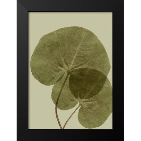 Heaven on 3rd II Black Modern Wood Framed Art Print by Incado