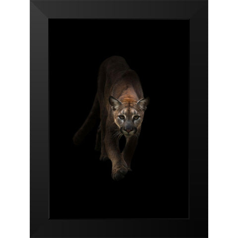 Lion Black Modern Wood Framed Art Print by Incado