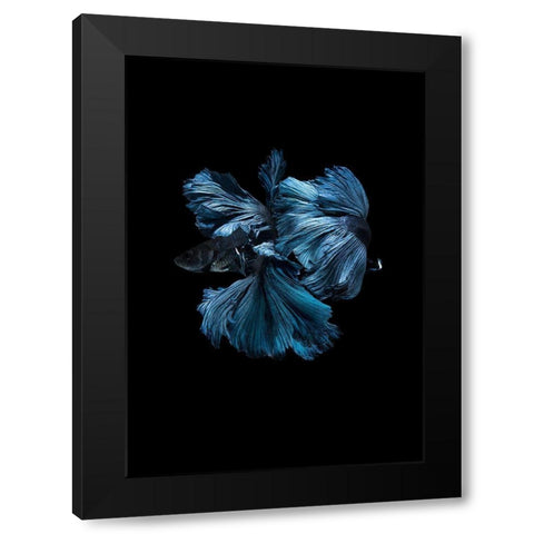 Blue Betta Black Modern Wood Framed Art Print by Incado