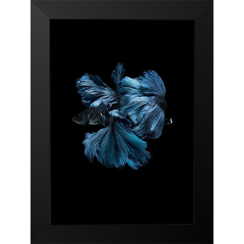 Blue Betta Black Modern Wood Framed Art Print by Incado