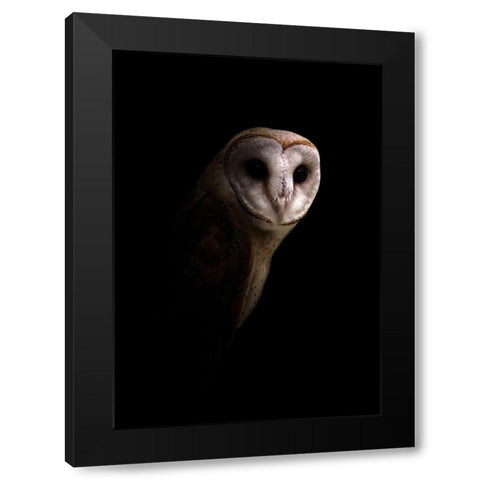 Owl Black Modern Wood Framed Art Print with Double Matting by Incado