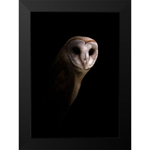 Owl Black Modern Wood Framed Art Print by Incado