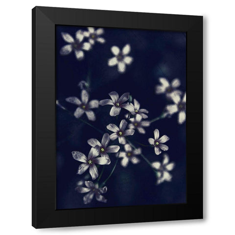 Small Flowers Black Modern Wood Framed Art Print with Double Matting by Incado