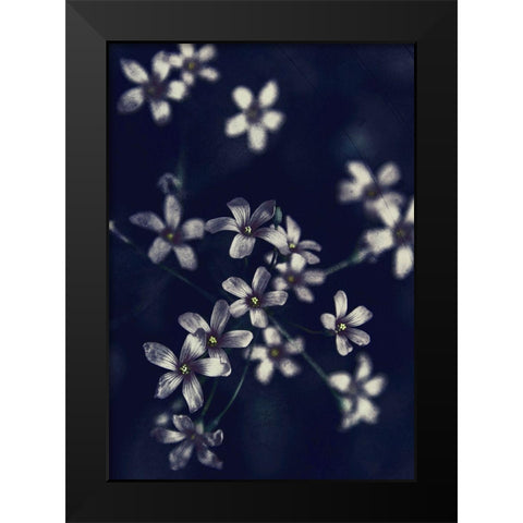 Small Flowers Black Modern Wood Framed Art Print by Incado