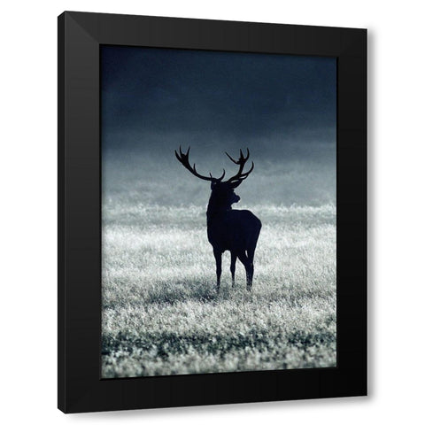 Silhouette Deer Black Modern Wood Framed Art Print with Double Matting by Incado