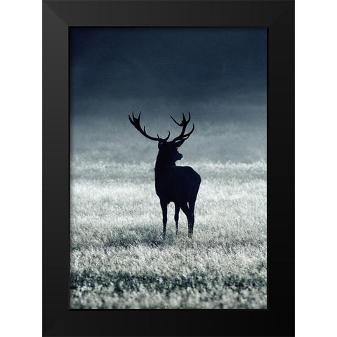 Silhouette Deer Black Modern Wood Framed Art Print by Incado