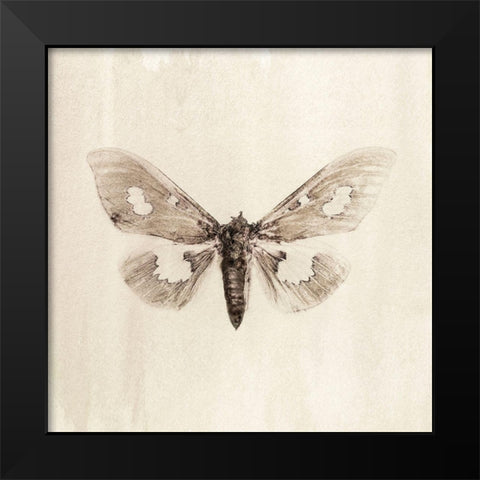 Sepia Moth Black Modern Wood Framed Art Print by Incado