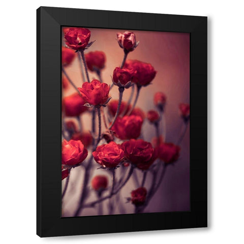Red Flowers Black Modern Wood Framed Art Print with Double Matting by Incado