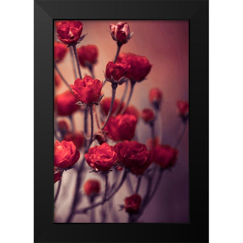 Red Flowers Black Modern Wood Framed Art Print by Incado