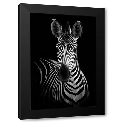 Zebra Black Modern Wood Framed Art Print by Incado