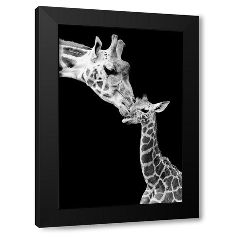 First Love - Giraffe Black Modern Wood Framed Art Print with Double Matting by Incado