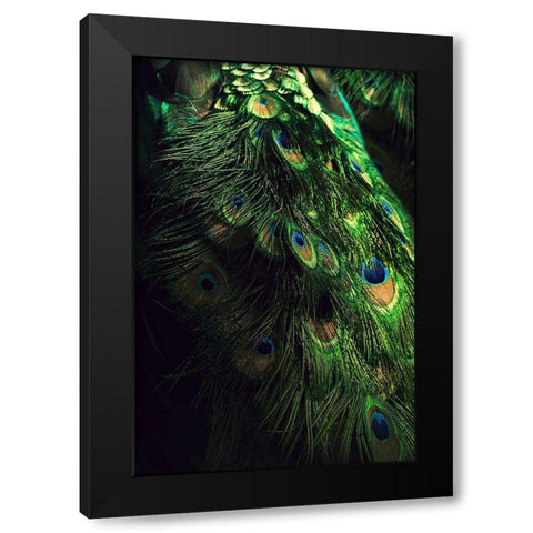 Peacock Tail Black Modern Wood Framed Art Print with Double Matting by Incado