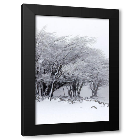 Winter Storm Black Modern Wood Framed Art Print by Incado