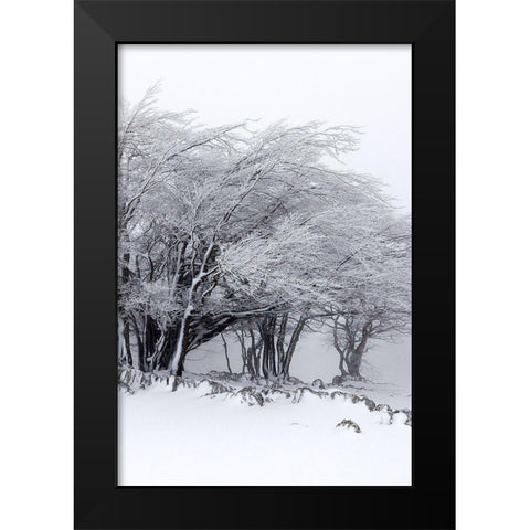 Winter Storm Black Modern Wood Framed Art Print by Incado