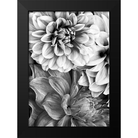 B And W Flower 2 Black Modern Wood Framed Art Print by Incado